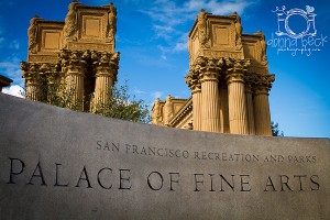 Palace of the Fine Arts, San Francisco Wedding Photographer, Donna Beck Photography