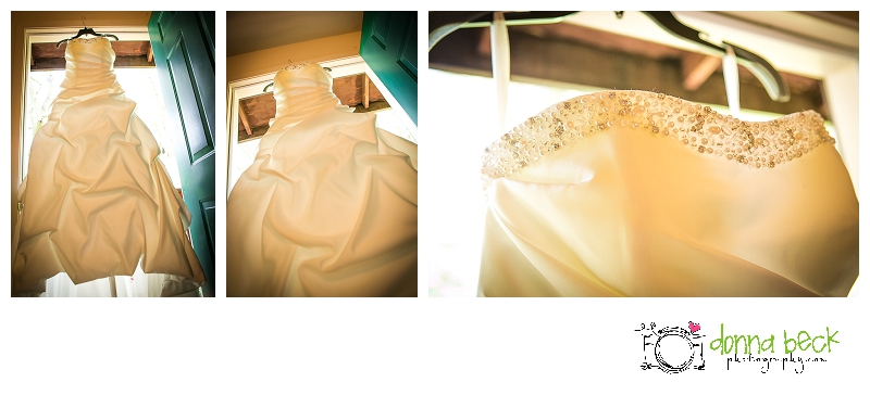 Gold Hill Vineyard & Brewery, Sacramento Wedding Photographer, Donna Beck Photography, wedding dress