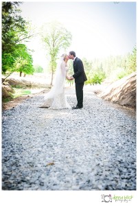 Saluit Cellars Wedding, Somerset Wedding Photographer, Donna Beck Photography, bride and groom formal pictures, wedding pictures